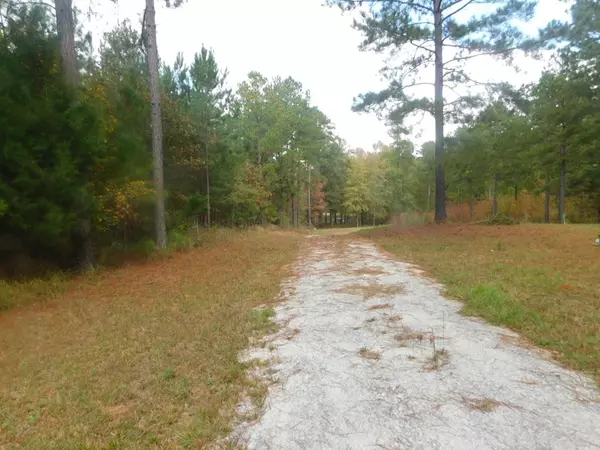 Tignall, GA 30668,1120 Sunset CV