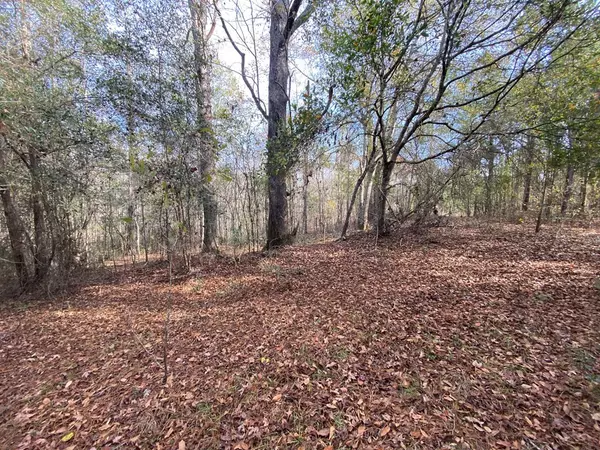 Swainsboro, GA 30401,0-14 Robin RD