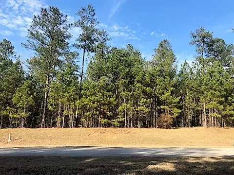 Lincolnton, GA 30817,Lot 6B Savannah Bay DR