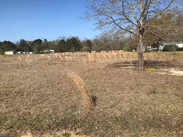 872 Manderson CIR, Hephzibah, GA 30815