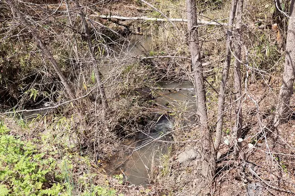 Bartow, GA 30413,0 None