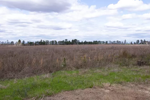 Bartow, GA 30413,0 None