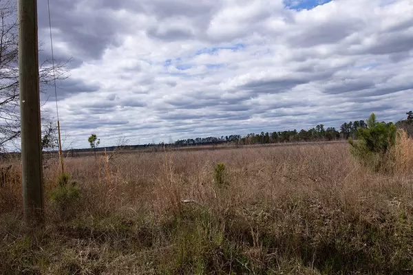 Bartow, GA 30413,0 None