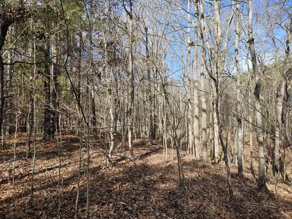 Lincolnton, GA 30817,LOT 4 ELBERTON HWY