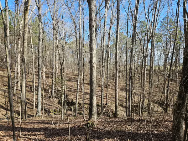 Lincolnton, GA 30817,LOT 4 ELBERTON HWY