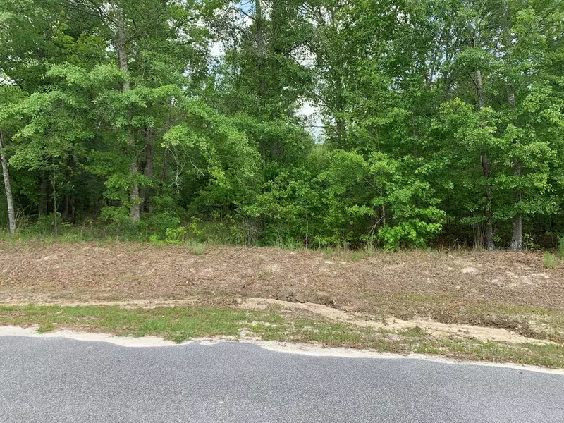 Lot 9 Greenhill DR, Sardis, GA 30456