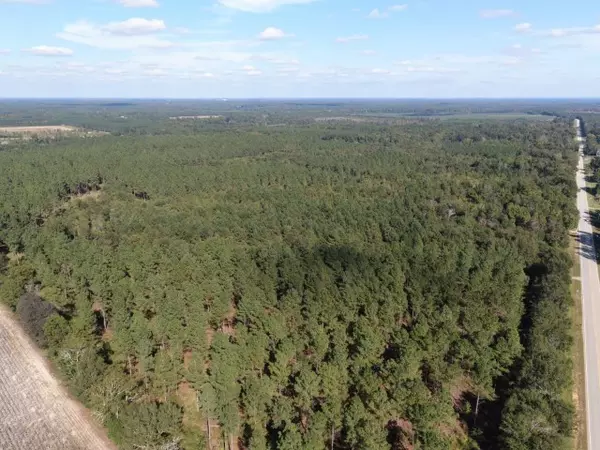 Vidette, GA 30830,0 Highway 24