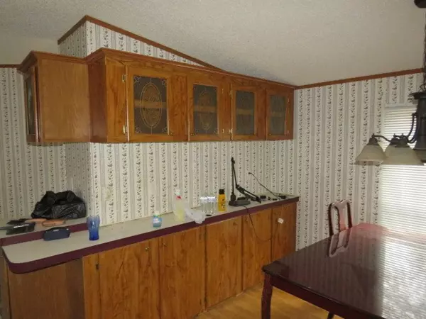 Blythe, GA 30805,204 Michael LN