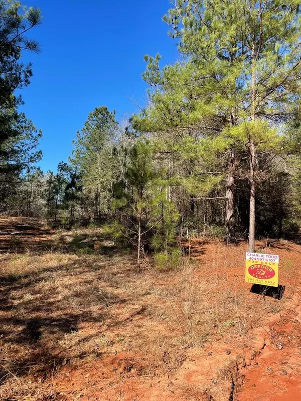 Tennille, GA 31089,00 Deer Hunter RD
