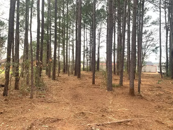Langley, SC 29834,Lot 3A Hillside CT