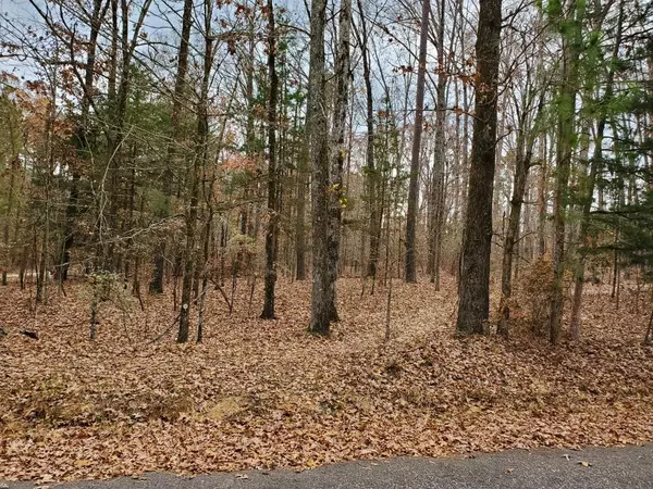 Lincolnton, GA 30817,Lot 4 Forest Lake DR