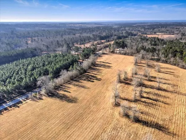 LOT 3 COLEMAN BRIDGE RD, Wagener, SC 29164