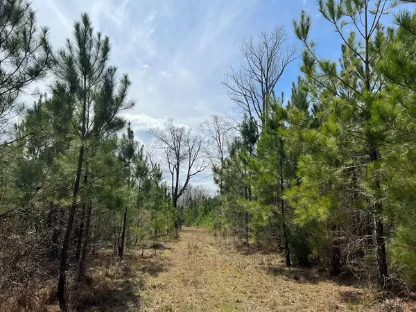 Plum Branch, SC 29845,34.98 Highway 28