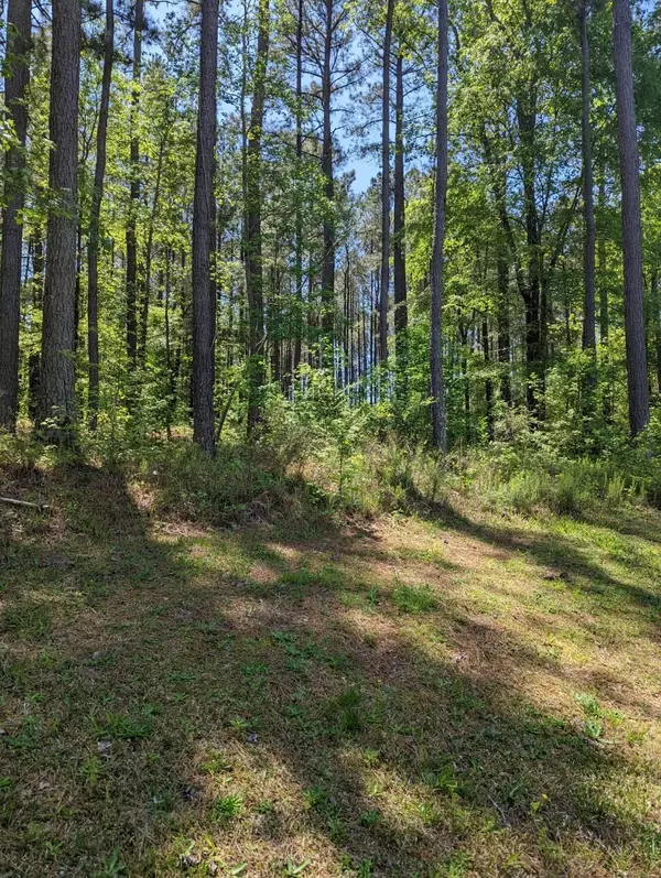 LOT M-33 CAPTAIN JOHNSON DR, North Augusta, SC 29860