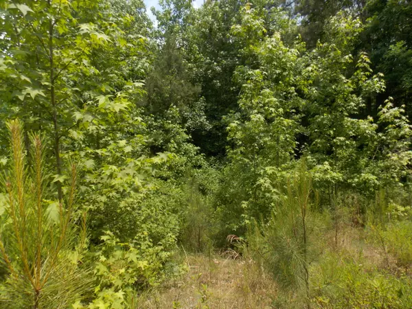 Tignall, GA 30668,5 BUCKHEAD RD