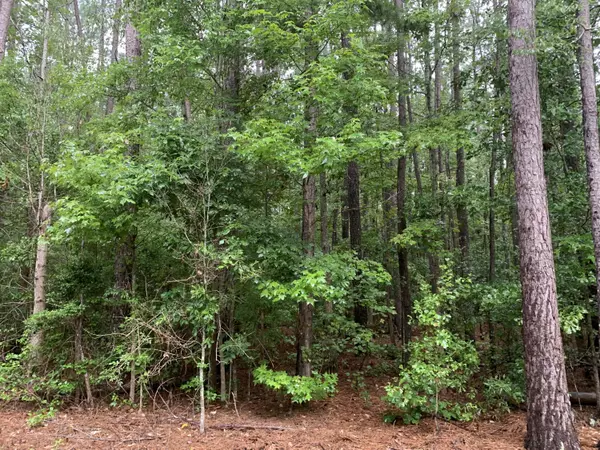 Wrens, GA 30833,LOT 20 B SHADY OAKS RD