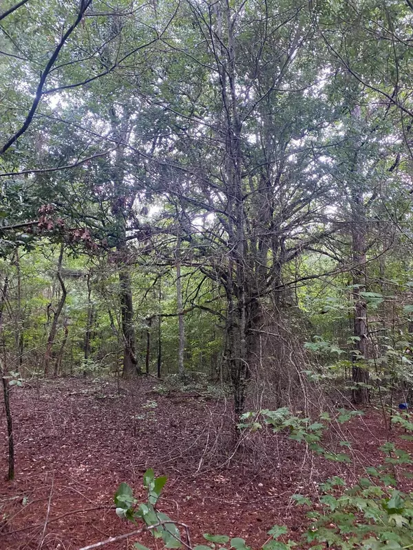 Norwood, GA 30821,LOT 2 DOZIER RD