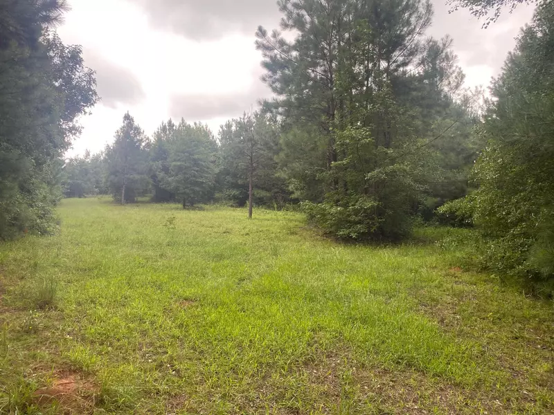 LOT 5 DOZIER RD, Norwood, GA 30821