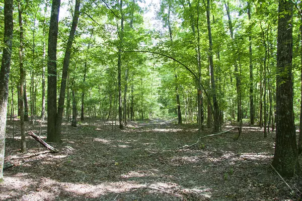 Hephzibah, GA 30815,1515C HEPHZIBAH - MCBEAN RD