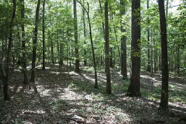 1515C HEPHZIBAH - MCBEAN RD, Hephzibah, GA 30815