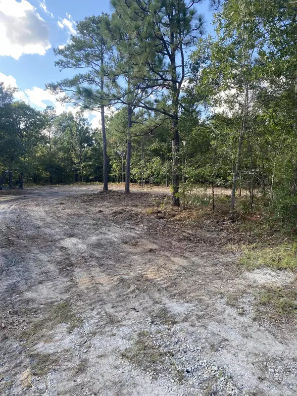 Dearing, GA 30808,0 LOBLOLLY DR. SE