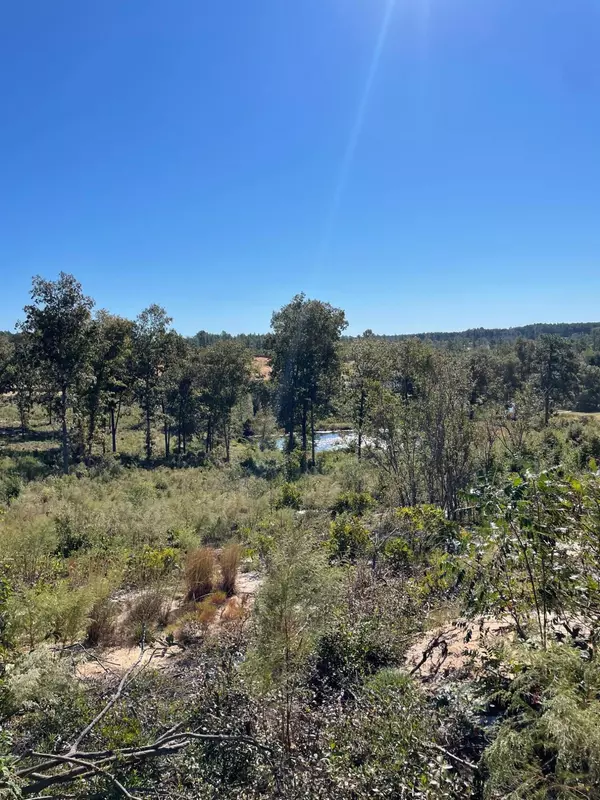 Graniteville, SC 29829,LOT 3 SPRINGDALE RD