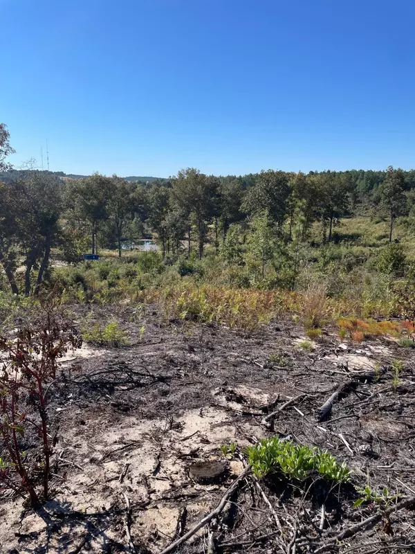 Graniteville, SC 29829,LOT 3 SPRINGDALE RD