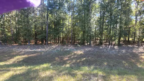 Mitchell, GA 30820,01 EDGEHILL MITCHELL RD