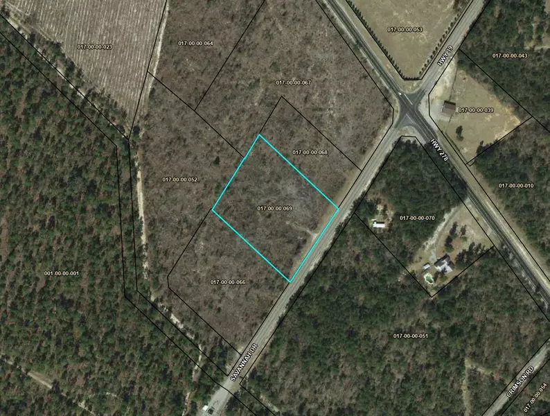 00 SAVANNAH DRIVE, Williston, SC 29853