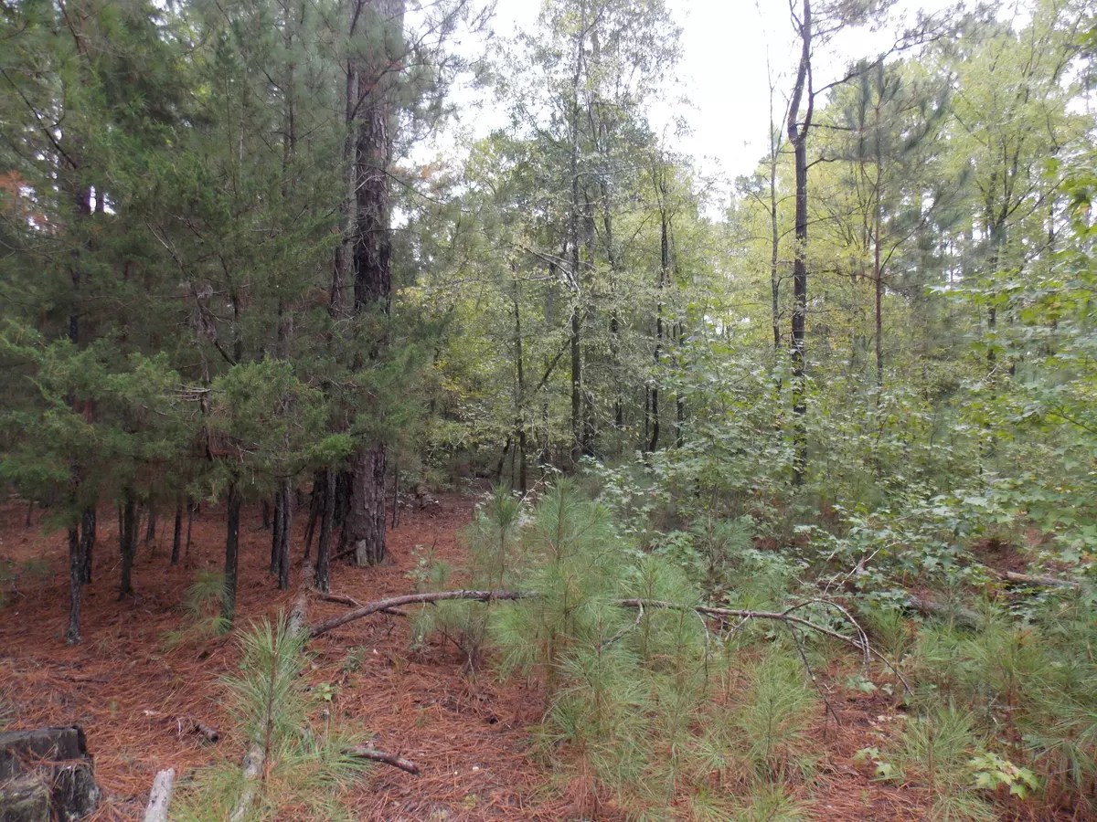 Lincolnton, GA 30817,25 SADIE LANE