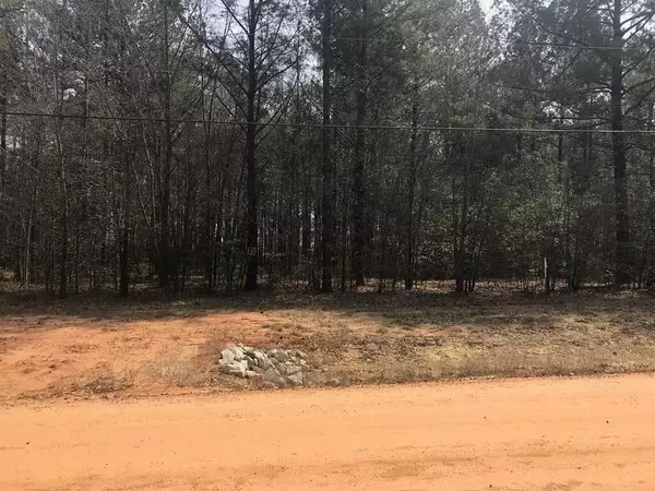 Stapleton, GA 30823,LOT 40 STAPLETON ACRES RD