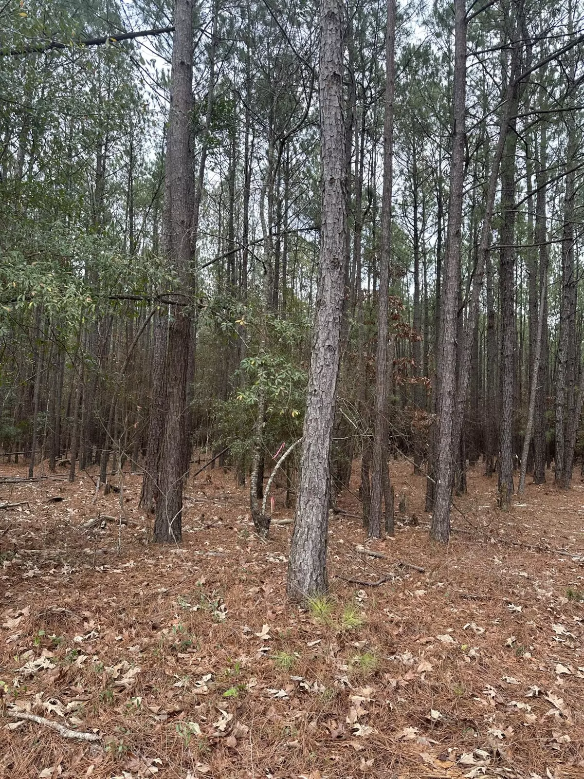 Keysville, GA 30816,440 BENT KNEE RD