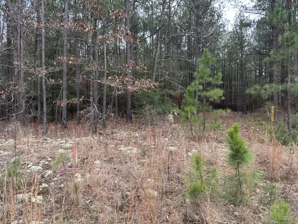 Keysville, GA 30816,440 BENT KNEE RD