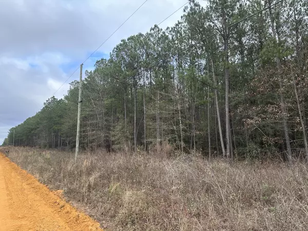 Keysville, GA 30816,440 BENT KNEE RD