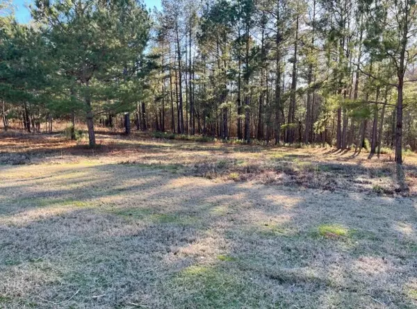 LOT O-41 SCHOOLHOUSE LN, North Augusta, SC 29860