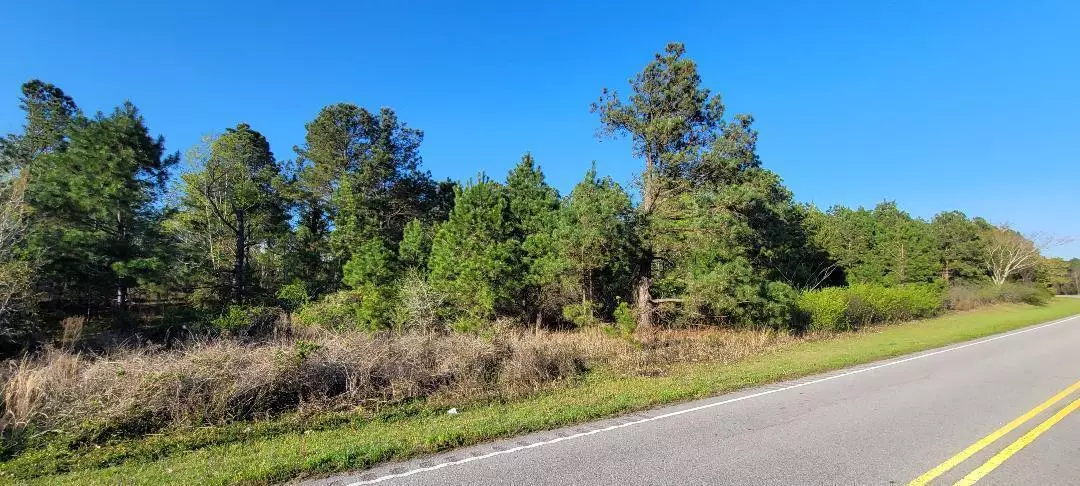 LOT 4 TINKER CREEK RD, Williston, SC 29853