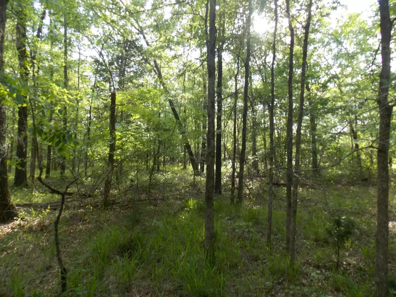 47 BAMBI TRAIL TRL, Lincolnton, GA 30817