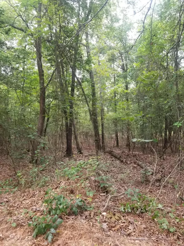 Gibson, GA 30810,0 GLOVERS MILL RD