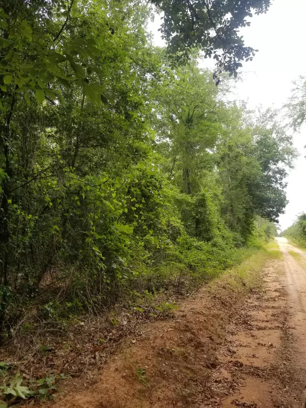 Gibson, GA 30810,0 GLOVERS MILL RD