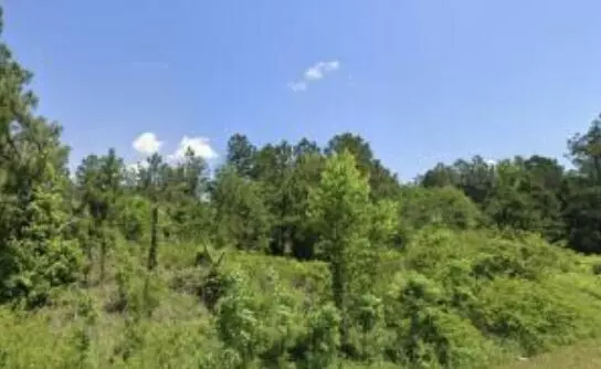 Williston, SC 29853,LOT 6 TINKER CREEK