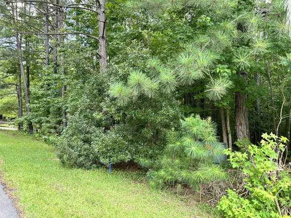 Mccormick, SC 29835,L9 B18 GRANDVIEW DR
