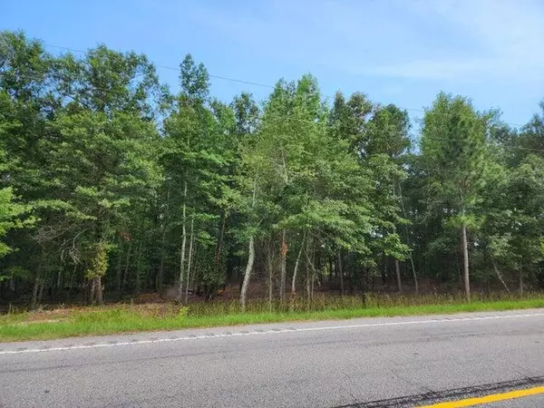 Williston, SC 29853,LOT 11 TINKER CREEK ROAD