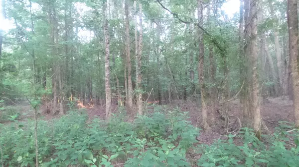 Elberton, GA 30635,0 COOTER CREEK RD