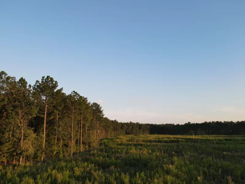 LOT 3 HIDDEN HARBOR RD, Lincolnton, GA 30817