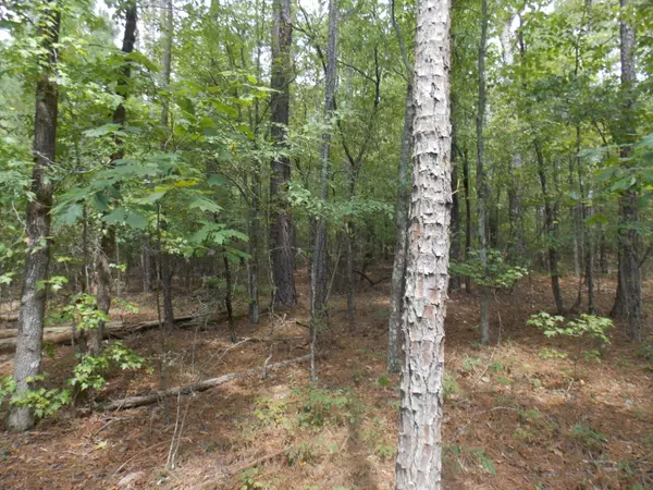 Lincolnton, GA 30817,11 DOE RUN