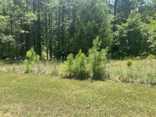 Tignall, GA 30668,1482 ROCK POINT CV