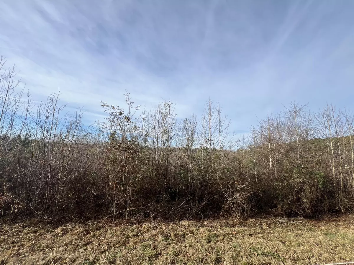 Lincolnton, GA 30817,LOT6 HEPHZIBAH CHURCH ROAD