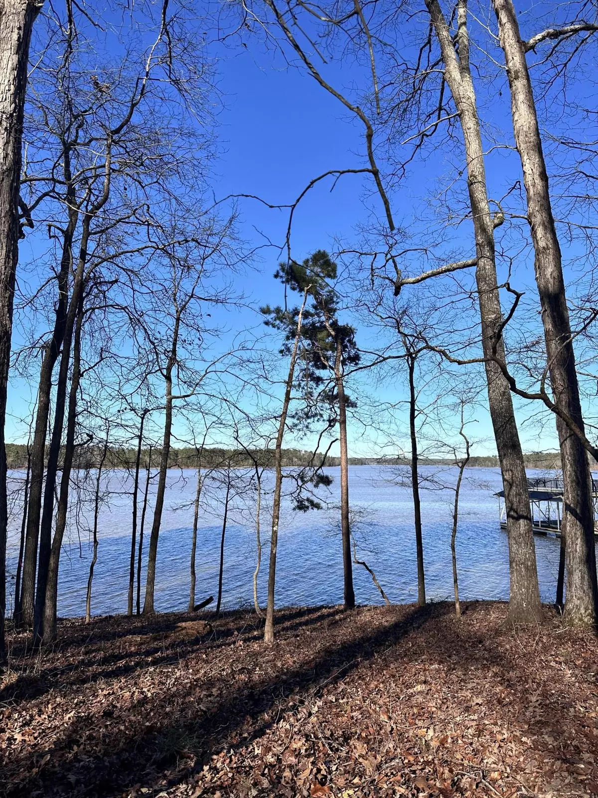 Lincolnton, GA 30817,0 SAVANNAH BAY DR