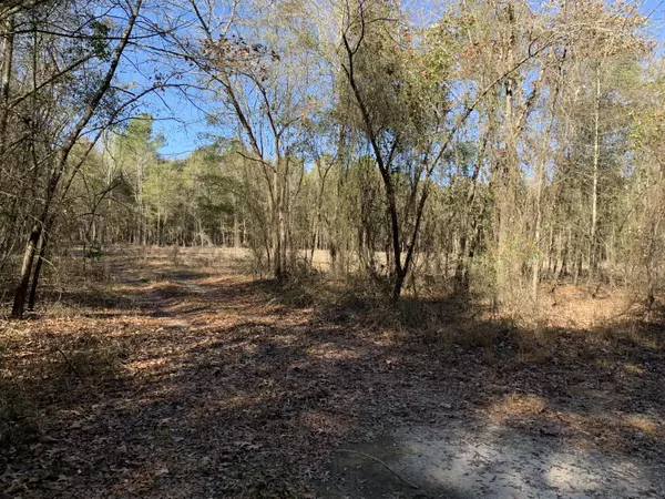 Blythe, GA 30805,0 WILDLIFE LANE LN