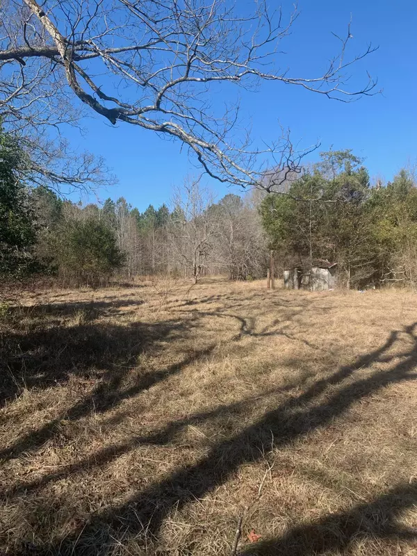 Warthen, GA 31094,1307 HWY 102